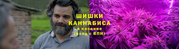сатива Волосово